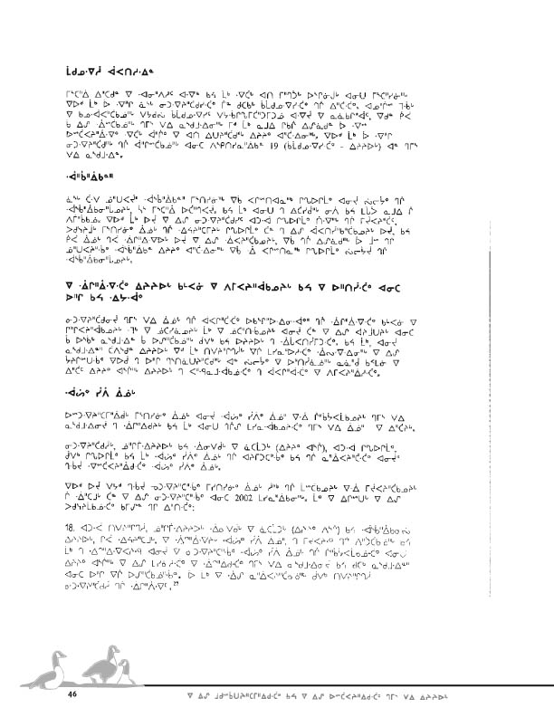 11923 CNC Report 2004_CREE - page 46